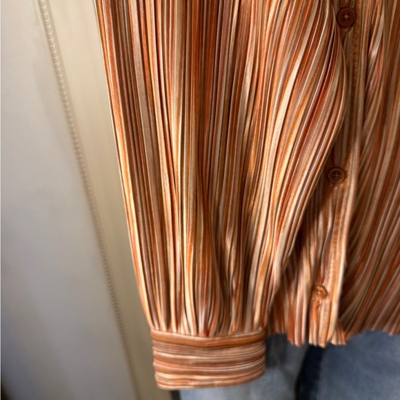 Steve Madden Peach Striped Blouse - Picture 3 of 5